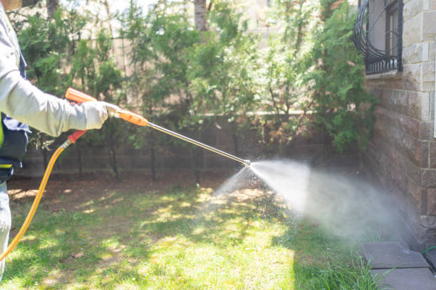 Willow Springs, MO Pest Control Company